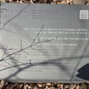 비석농장 | 수정봉 속리산 수정봉 수정암 뒷산 법주사를 한눈에 담을 수 있는 봉우리 거북바위