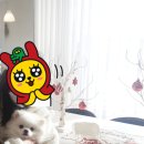 카페위드멍냠 이미지