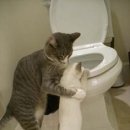 창문외과의원 이미지