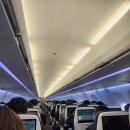 1542 | 대한항공 A321neo 새 비행기!!! 직접 타본 제주-부산 노선 KE1542편 후기