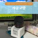 12월 겨울철 강력 보습 마유 크림 친구 '자운고밤' 추천