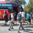 서삼릉청소년야영장한국스카우트연맹