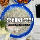 청해횟집 | 보령 아이랑 맛집 오천항 근처 청해회수산 횟집 후기 알려드려요