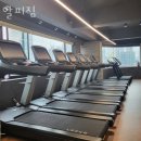 알피짐 이미지
