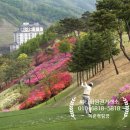 엘리시안 강촌 컨트리클럽 이미지