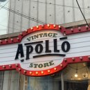 아폴로1호 | [압구정] 압구정 빈티지샵 '아폴로' 구경하기🧥👖🥾 압구정로데오 쇼핑