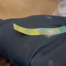 혜림어린이집 | 송도미용실 염색 | 센트럴파크 잇키 퍼스널염색 혜림디자이너 후기