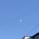 허니모텔 이미지