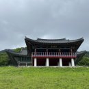 하나피알씨 | 2024.05.11 금정산 파워트레일레이스 22K ⛰️ GPTR 완주 후기