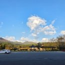 고대1101 이미지