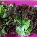 반월농협 로컬푸드직매장 이미지