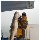 동해약국 이미지