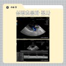 조양래 동물의료센터 이미지