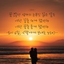 너란, 꽃 이미지