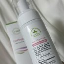 C.Y.바이오 | 순한여성청결제 약산성 유산균 여성청결제 후기, 엘가닉 캔엔젤