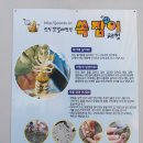 전도갯벌체험장 Daum카페