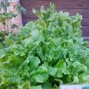 숲속나라어린이집 이미지