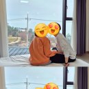 남해벚꽃길지나서 이미지