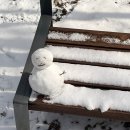 노꼬메오름 | 제주도 겨울 트레킹::한라산 대신 가기 좋은 노꼬메오름 등산 후기