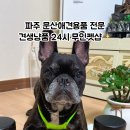 견생냥품24시무인펫샵파주문산수타운점