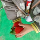 찬이농장 이미지