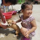 정선가축병원 이미지