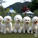 택견전수관화장실 이미지