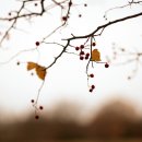 하늘과열매(주) 이미지