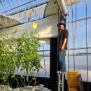 박준언농장 이미지