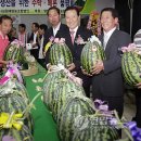 도포농협 이미지