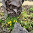 아르케하우스 민박 이미지