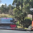 청도버스 | 청도 사리암 벚꽃 시즌 두 번째 방문 후기 (4월 셔틀 안내)