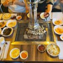 풍천뻘장어 이미지