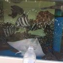 민아민박 이미지