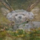 반도방앗간 | 맛있는 단백질쉐이크 추천 드디어 인생 쉐이크 정착한 솔직 후기