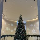 딜라이트클럽 | 웨스틴 파르나스 서울 클럽 라운지 조식 스위트딜라이트 크리스마스 후기