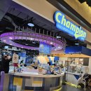 카페벨라 | 일산 백석 키즈카페 '챔피언' 벨라시타점 방문후기