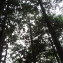 공지산 둘레길 이미지