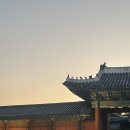 하늘궁 파인힐 | 창경궁 궁궐야행 나들이 창경궁 야간개장 데이트 | 한양길라잡이 후기