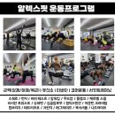 알렉스샵
