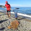 비상도서 이미지