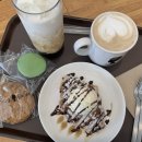 모리셔스브라운 춘천점 이미지