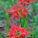 넓은세상 이미지