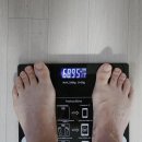 전원말6길 24 | 2026년 3월 24일(화) 일기: 경기옛길 영남길 6길을 걷다!!!