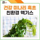비슬청록농장