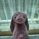 오복세탁 이미지