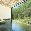 서울아쿠아룸 이미지