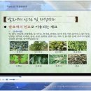 희망약초 이미지