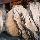 칠갑산나이테협동조합 이미지