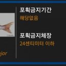 영목수산좌대 이미지